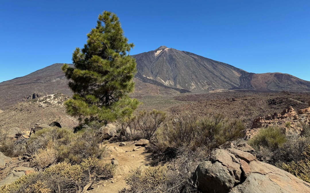 Expedice v kostce – Tenerife na jaře roku 2024