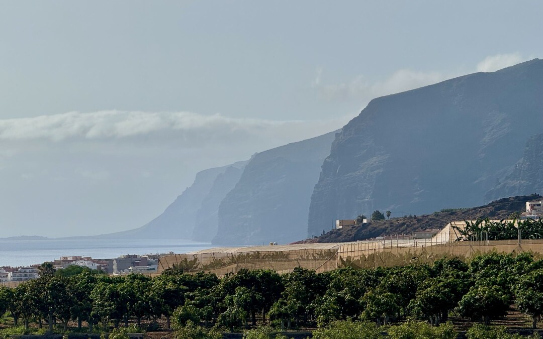 Mírně užitečné informace o Tenerife – tipy, triky, ceny, ubytko a tak…